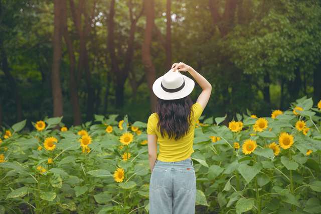 情绪调节药物，从科学到实践的全方位解析-第1张图片-教呗网